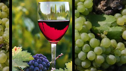 Copa de vino con fondo de uvas
