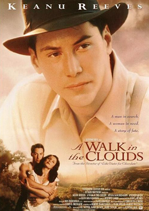 Cartel de la película Un paseo por las nubes