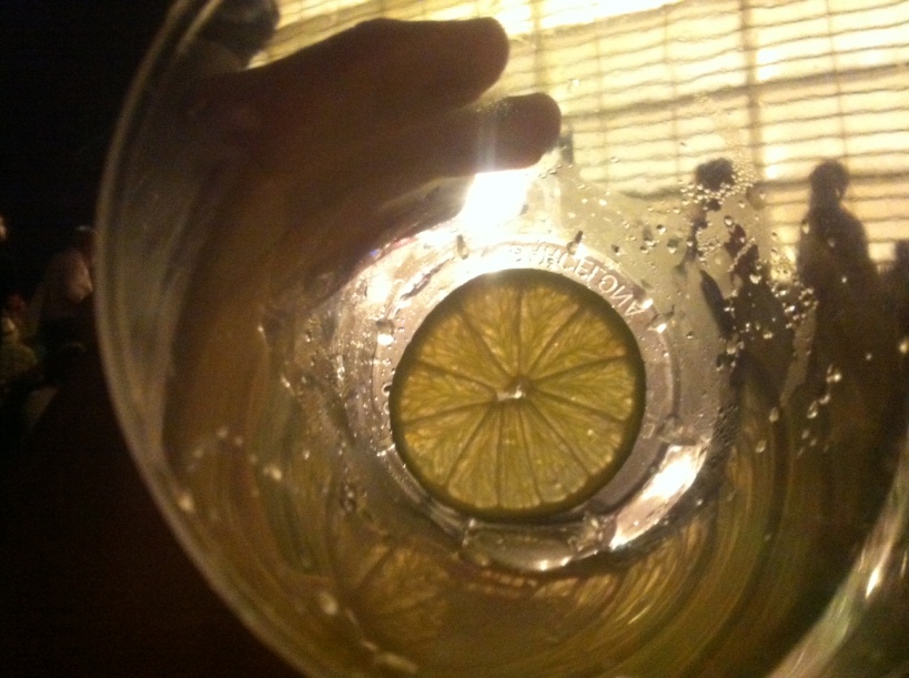 Vaso de Gin-Tonic con limón